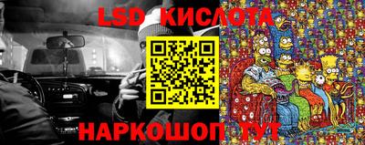 прущие крисы Камышлов