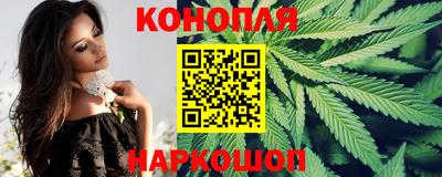прущие крисы Камышлов