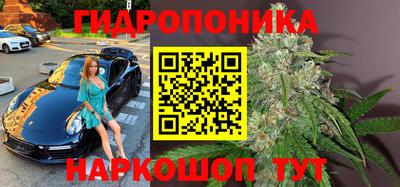 mdpv Кандалакша