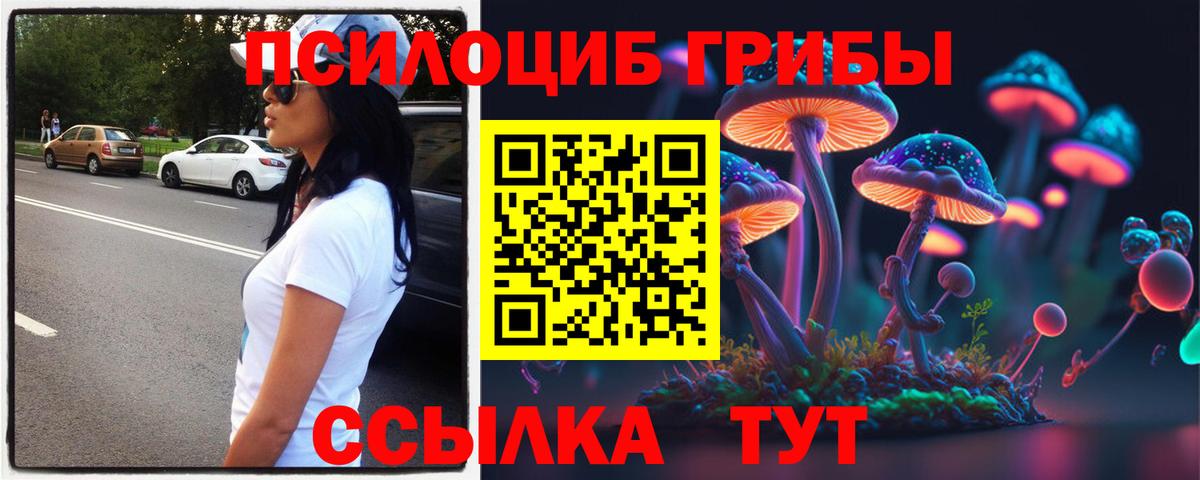 Галлюциногенные грибы Psilocybine cubensis Куйбышев