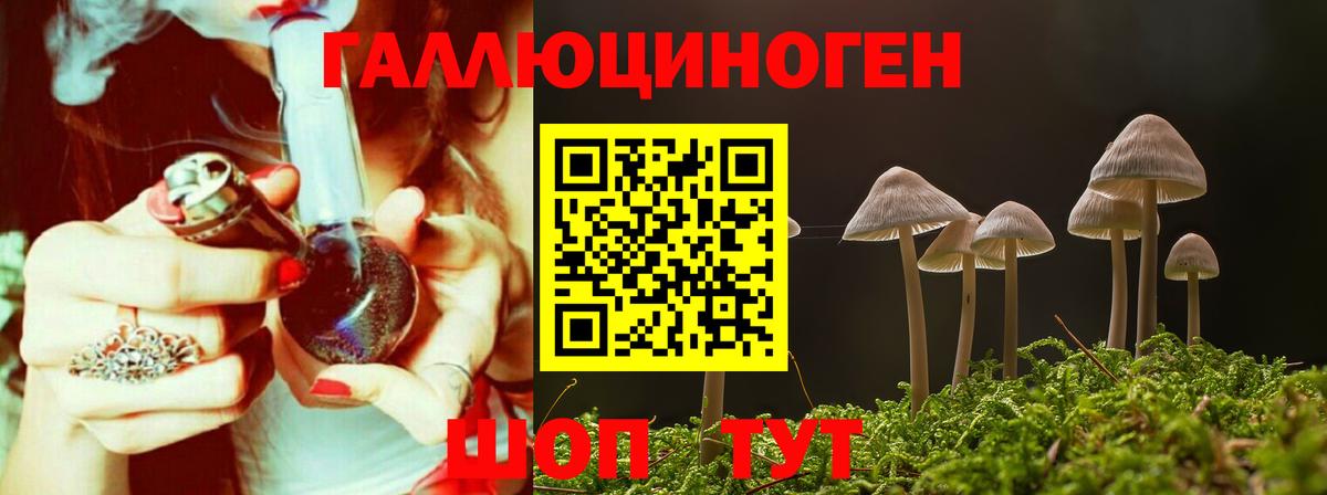 Куйбышев  Галлюциногенные грибы ЛСД  Вход с VPN  Псилоцибиновые грибы MAGIC MUSHROOMS 